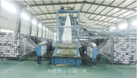 東星塑業(yè)集團(tuán)六大核心優(yōu)勢領(lǐng)跑國內(nèi)噸袋集裝袋市場